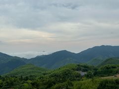 -江南天池