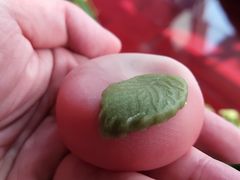 -祥禾饽饽铺·中式糕点(天津河东美福园店)