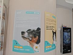 -瑞鹏宠物医院·骨科·猫科·内科(第一中心)