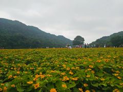 -广州市石门国家森林公园
