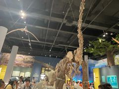 -国家自然博物馆