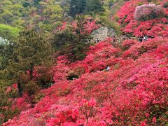 -木兰云雾山