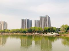 -南翔镇银翔湖公园