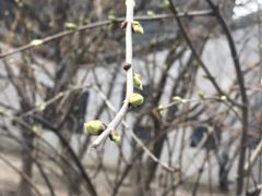 -东方之珠洗浴休闲广场(和平店)