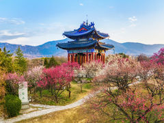 -梅花山(明孝陵内)