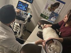 -艾贝尔宠物医院 ·中兽医·宠保定点(北门桥店)