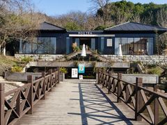 -白马涧龙池景区