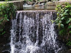 -藏龙百瀑风景区