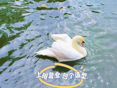 -深圳野生动物园