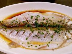 -呼吸森林·生态农庄农家乐私房菜