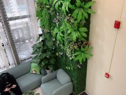 -苗医生草本科技祛痘