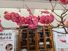 -石家庄市植物园