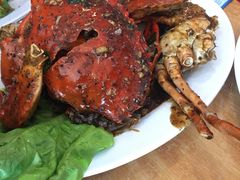 -ZF Seafood Restaurant 卓峰海鲜餐