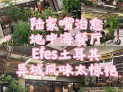 -Efes Turkish & Mediterranean Cuisine 艾菲斯餐厅(陆家嘴店)