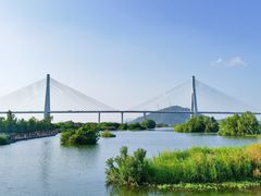 -芒洲湿地公园