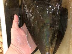 -沙田台山海鲜·酣客酒窖