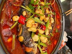 -宝记烧烤·碳锅羊肉·羊蝎子火锅·夜食社(文体路创始店)