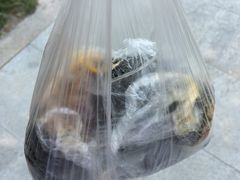 -大个子蒸饭