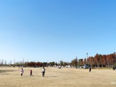 -上海长兴岛郊野公园