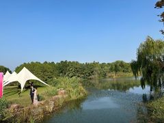 -梁鸿国家湿地公园