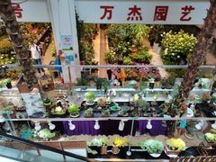 -双季花艺园艺市场(浦东店)