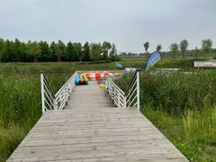 -春花秋色城市公园