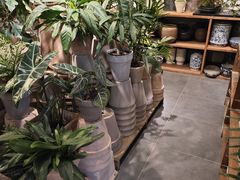 -自由生长植物工作室(深港花卉中心店)