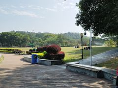 -东莞植物园