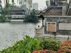 -荔湾湖公园