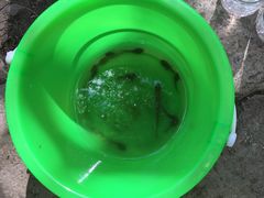 -玉渡山风景区-售票处