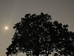-钟山体育运动公园