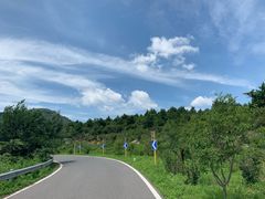 -阳台山自然风景区