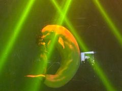 -芜湖新华联大白鲸海洋公园