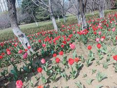 -白塘生态植物园
