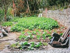 -生态苑农庄(十里画廊遇龙河店)