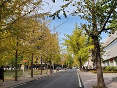 -大连理工大学(凌水校区)