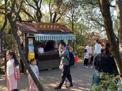 -杭州半山国家森林公园