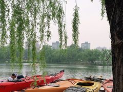 -WhaleSports户外水上运动俱乐部(朝阳公园店)