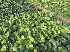 -乡乐园蟹庄·阳澄湖农家乐