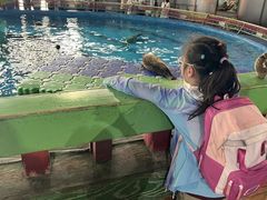 -海合安武汉极地海洋公园