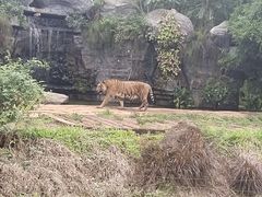 -海南热带野生动植物园