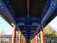 -莲花池公园
