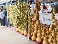 -中环花鸟鱼虫市场