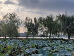 -云龙湖旅游景区