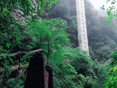-碧峰峡风景区