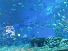 -亚特兰蒂斯•OSSIANO奥西亚诺海底餐厅