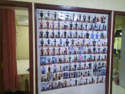 -维纳斯专业减肥