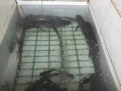 -金台阶鱼馆(于桥水库店)