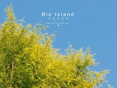 -广州国际生物岛