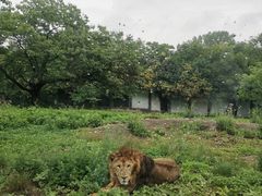 -西安秦岭野生动物园